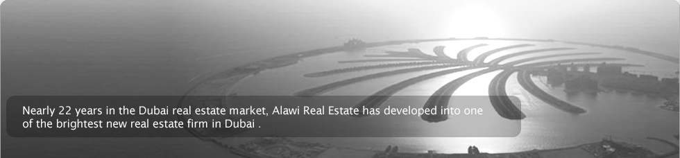 Alawi Realestate 